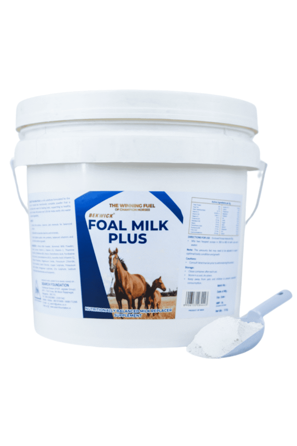 Bekwick Foul Milk Plus – Premium Foal Milk Replacer