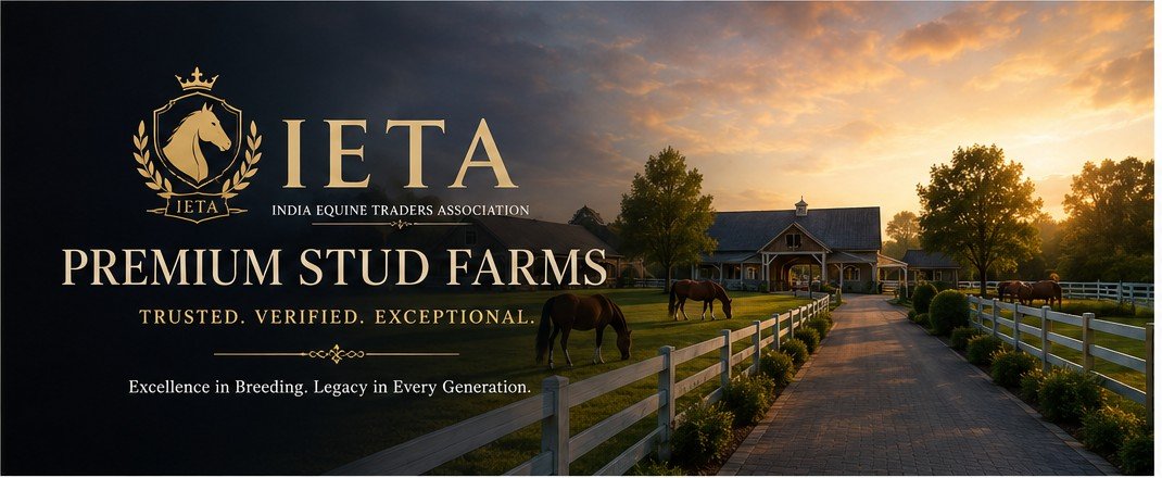 IETA default cover