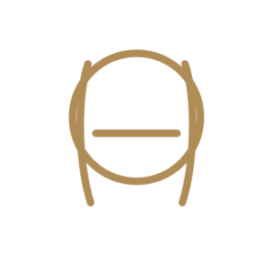 IETA Premium English Bridle
