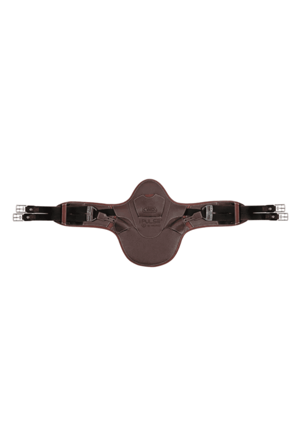 CWD iPulse Girth by Arioneo – Smart Performance Monitoring
