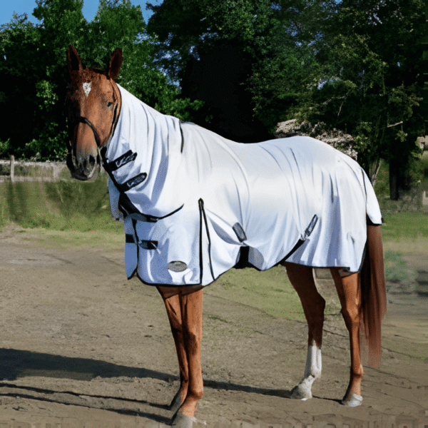 Gallop Equestrian Fly Sheet