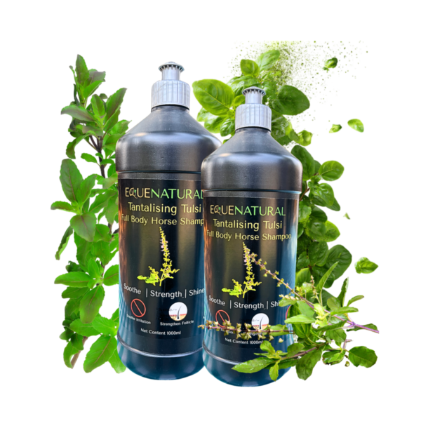 Equenatural Shampoo Tantalising Tulsi