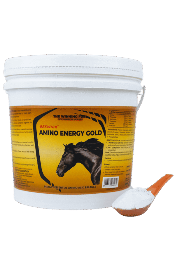 Bekwick Amino Energy Gold – Essential Amino Acid Supplement for Performance Horses