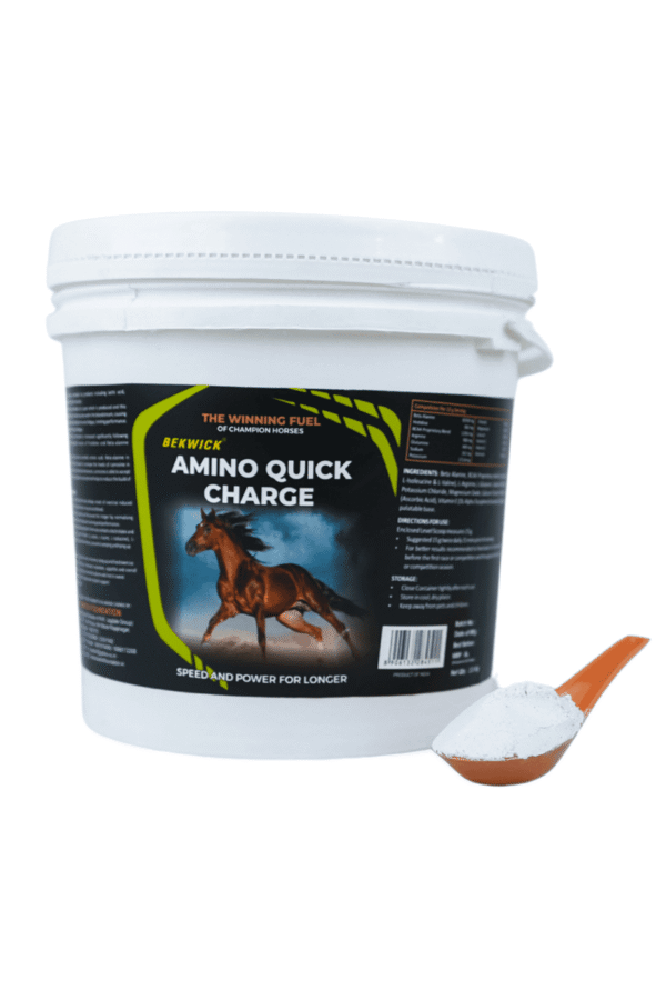 Bekwick Amino Quick Charge – Premium Equine Performance Supplement