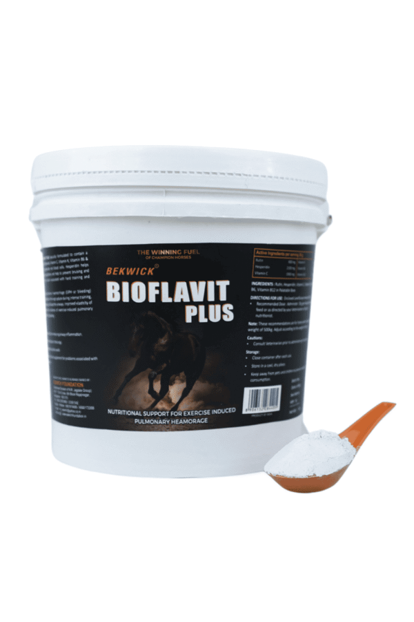 Bekwick Bioflavit Plus - 1Kg Nutritional Supplement for Equine Health