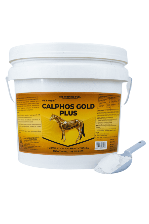 Bekwick Calphos Gold - Premium Equine Bone & Tissue Support Supplement