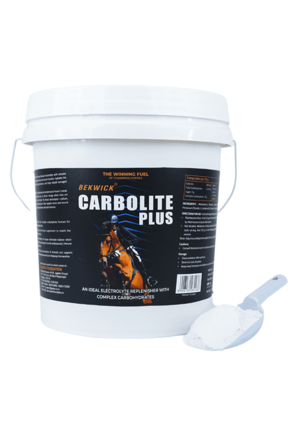 Bekwick Carbolite Plus - 5Kg Electrolyte Supplement for Horses