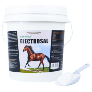 Bekwick Electrosal – 5Kg Electrolyte Supplement for Horses