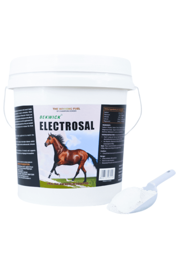 Bekwick Electrosal - 5Kg Electrolyte Supplement for Horses