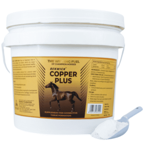 Bekwick Copper Plus – 10Kg Equestrian Weight