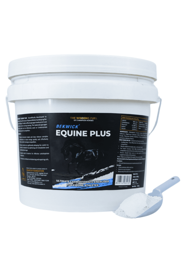 Bekwick Equine Plus