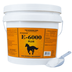 Bekwick E 6000 – 10kg Premium Equestrian Gear