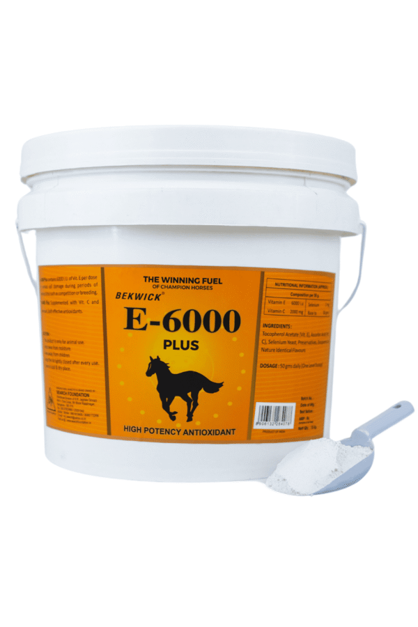 Bekwick E 6000 - 10kg Equestrian Gear