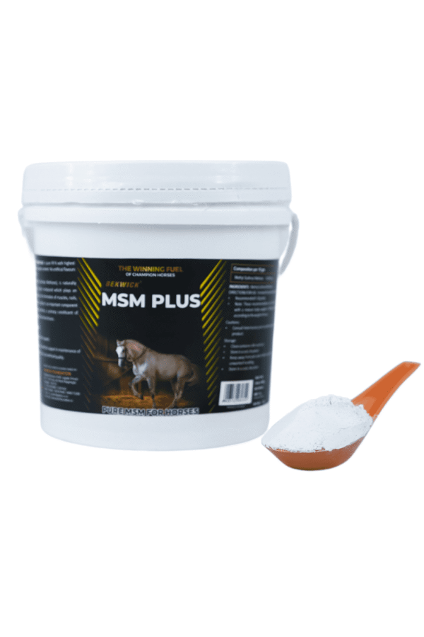 Bekwick MSM Plus - 1Kg Pure Methyl Sulfonyl Methane Supplement