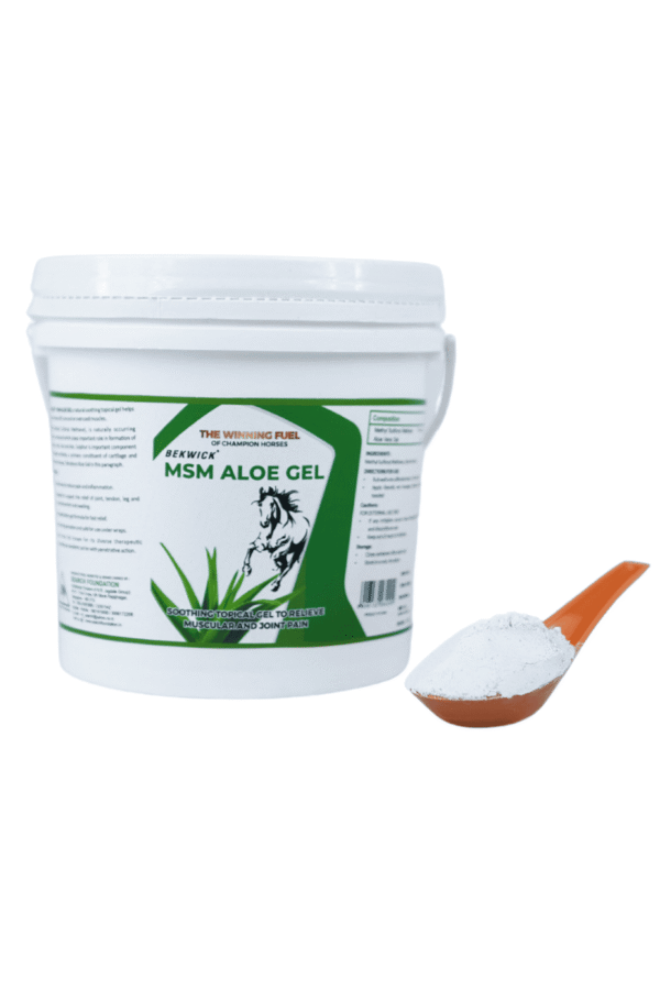 Bekwick MSM Aloe Gel - 1KG | Soothing Topical Gel for Equine Muscle & Joint Care