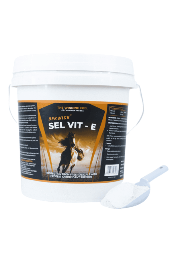 Bekwick SEL-VIT E - 5Kg | Antioxidant Support for Horses