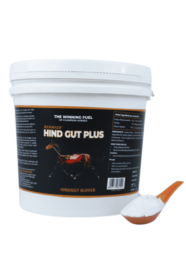 Bekwick Hind Gut Plus - 1KG