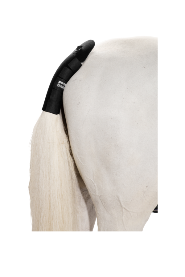 Eskadron Tail Guard Neo Tail Basics – Protective Neoprene Tail Cover