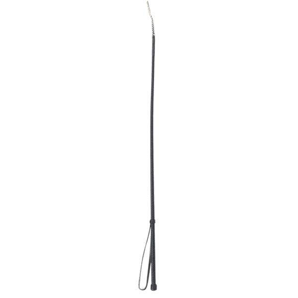 Fleck Braided Leather Riding Whip